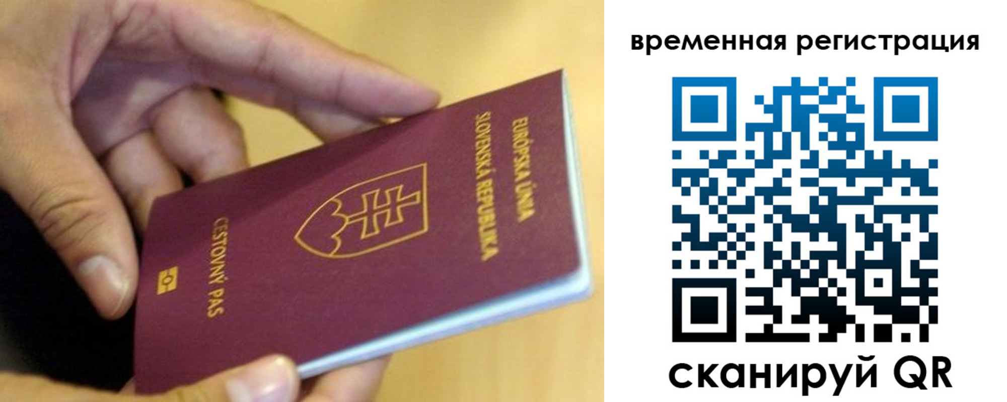 временная регистрация купить в Камышине